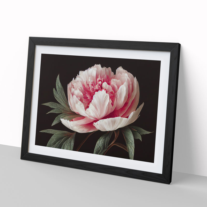 Grand Peony Flower - Print, Black, 46cm H x 64cm W