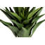 82cm Faux Agave Plant in Pot
