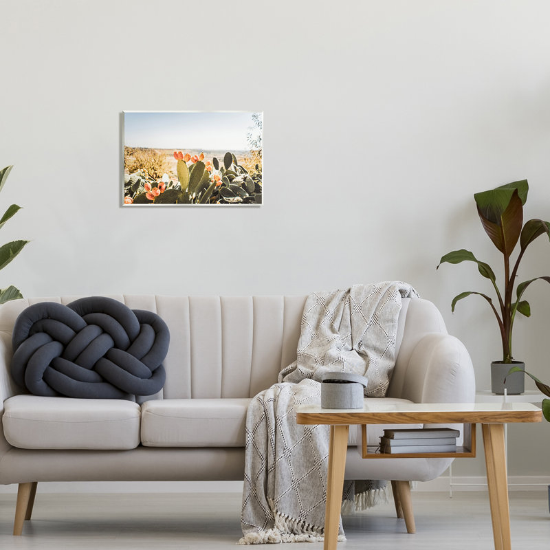 Cactus ensoleillé par Krista Broadway - photographie, H 13 po x l 19 po x P 0,5 po, Unframed