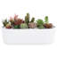 Indoor Oval White Ceramic Planter Pot with Tray