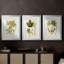 Feuilles antiques IV - impression encadrée sur mesure de qualité supérieure mate - 3 pièces