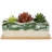 Wilbraham Ceramic Planter Box