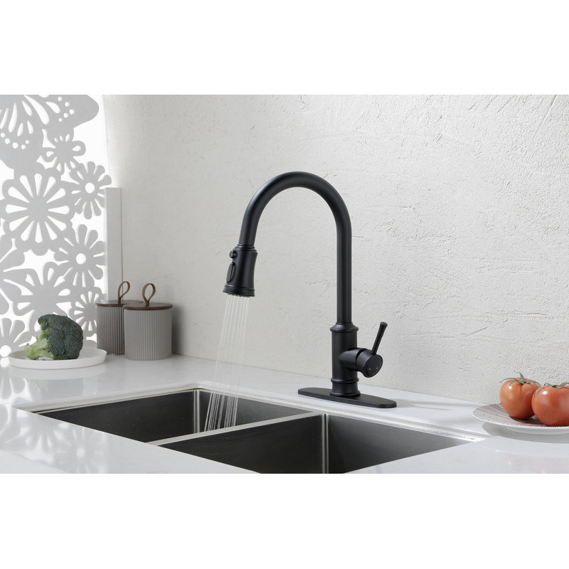 Robinet de cuisine avec douchette extractible