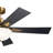 52'' Ceiling Fan with LED Lights-1614424767