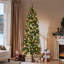 Arbre de Noël épinette Nyle-1629222674-1692793422