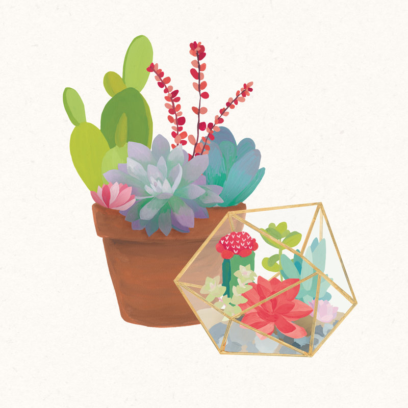 Succulent Garden II by Danhui Nai - Wrapped Canvas Painting, 51cm H x 51cm W x 3.8cm D
