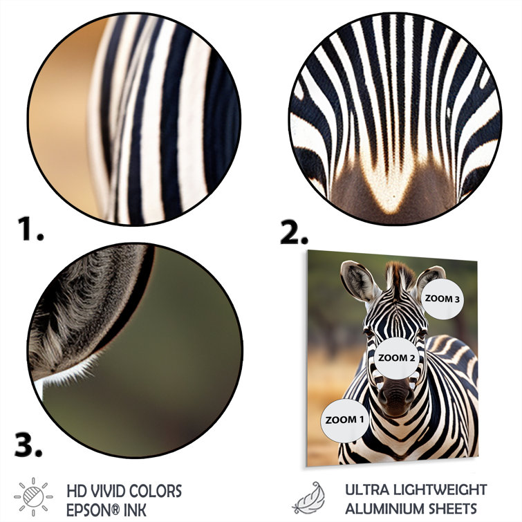 Ebern Designs Zebra Zebra Patterns In On Metal Print - Wayfair Canada