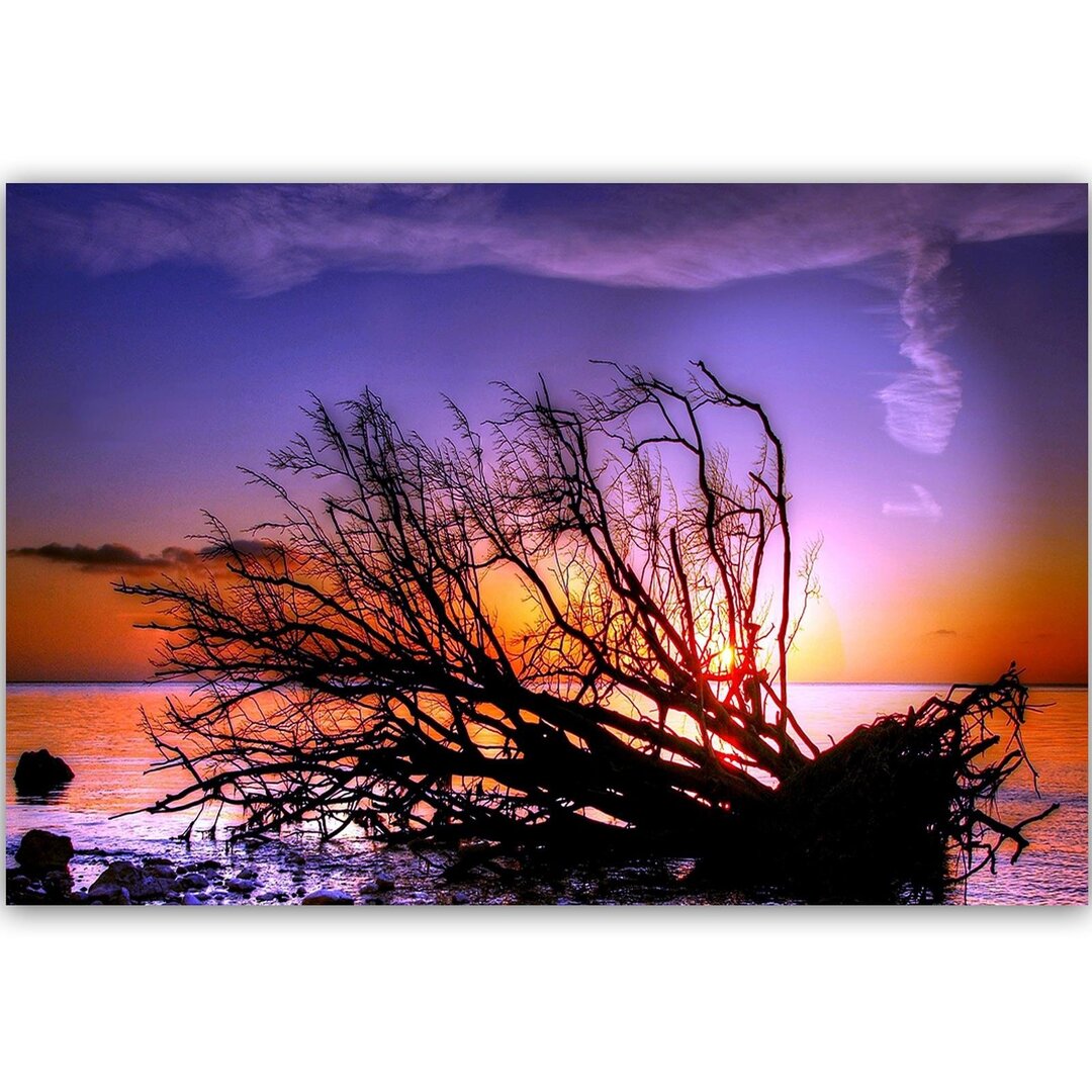 Leinwandbild Gebrochener Baum im Meer