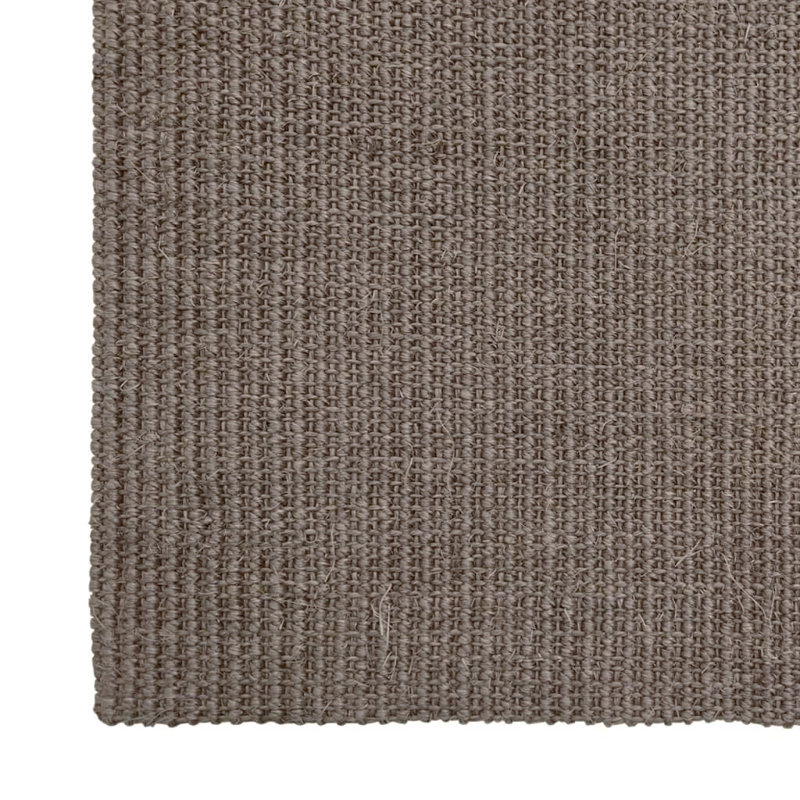 Jasveen Solid Colour Machine Braided Area Rug, Runner 66 x 300cm