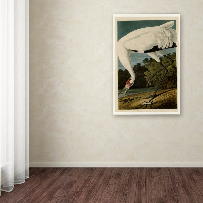 Whooping Crane Bird Portrait Canvas Art Print