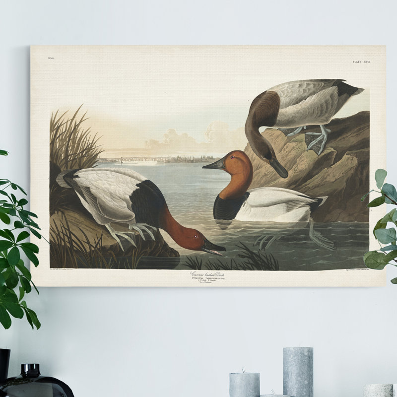 Reproduction sur toile tendue « pl 301 », H 12 po x l 8 po x P 1 po
