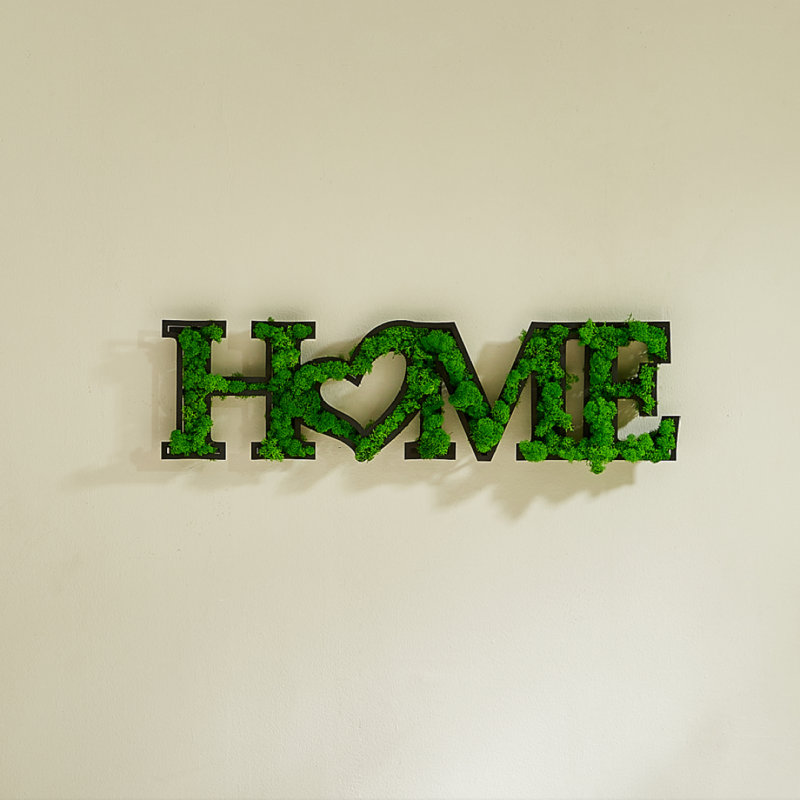 Décoration murale MAISON lettre art mousse