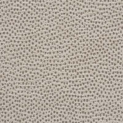 Stingray Fabric