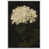 White Floater Frame