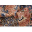 Tapis brun à motif oriental Ulla-40278591