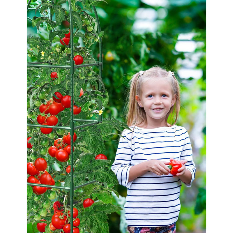Trellis For Climbing Plants Outdoor, Garden Obelisk Rustproo...
