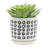 S/2 5/6" Aztec Planter W/ Saucer