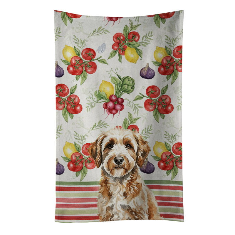 Serviette de cuisine Lagotto Romagnolo, Lagotto Romagnolo