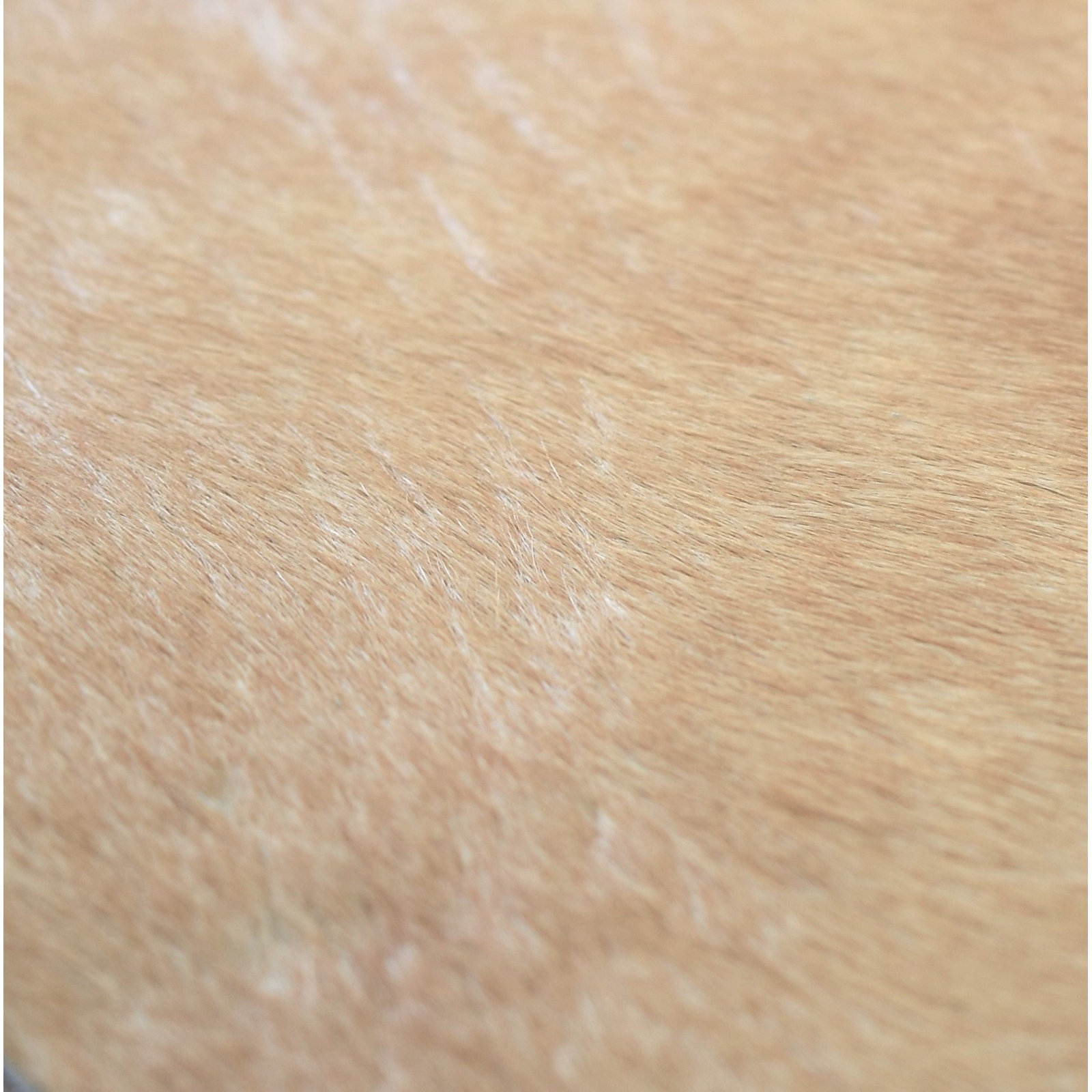 Charlize Whitish Beige Handmade Cowhide Rug, 6' x 8'
