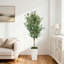 Plant-130014912