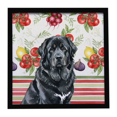 Black Tibetan Mastiff Vegetables Framed Metal Print