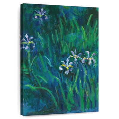 Iris 1914-17