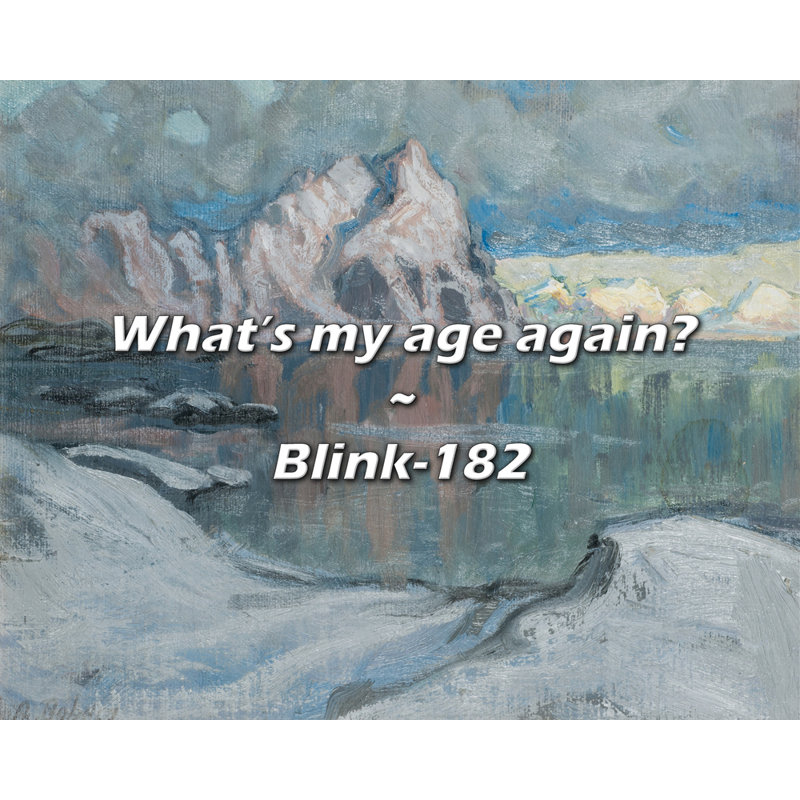 Blink-182 Quote: What’s my age again?, 26" H x 32" W