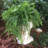 Muggly's Grumpy Gramps Face Statue-1925864984-1925864982