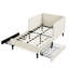 Structure de lit simple beige avec 2 tiroirs de rangement, lit en velours convertible, conception moderne, surface d'assise moelleuse, eucalyptus renforcé et rembourrage réglable pour la chambre à coucher, confortable