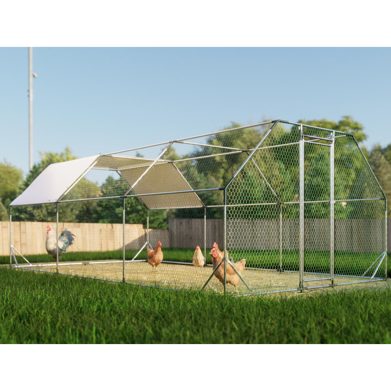 Grande cage de poulailler en poulailler, H 76,32 po x l 230,64 po x P 119,28 po