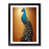 Black Framed selected