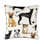 Pets Square Pillow Cover & Insert
