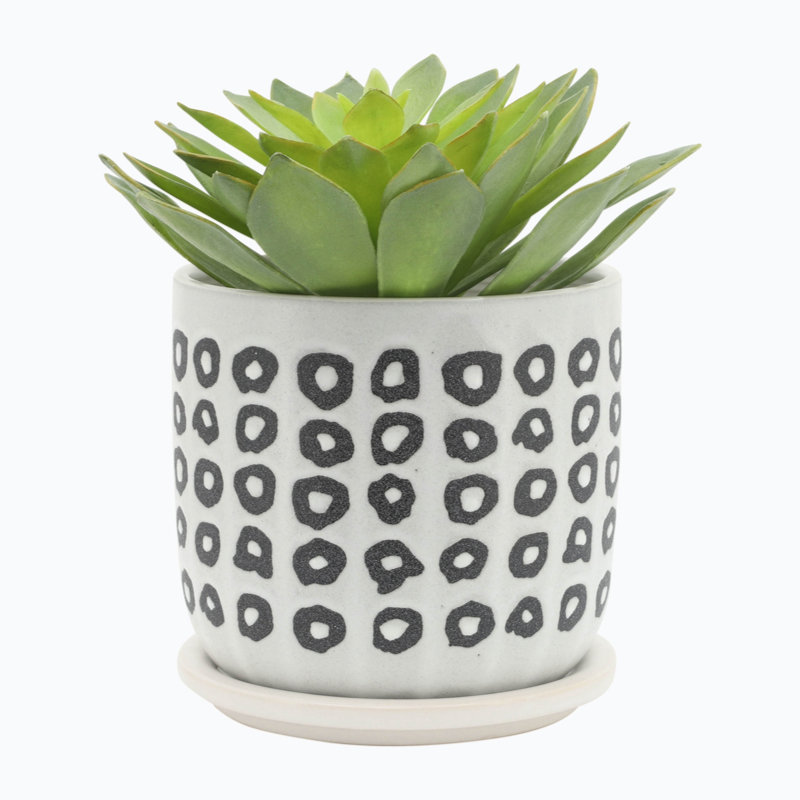 Imany Ceramic Pot Planter