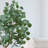 Villalobos 48'' Faux Eucalyptus Tree in Pot