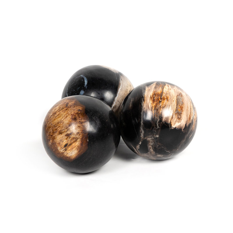 Petrified 3 Piece Deco Wood Sculpture Set