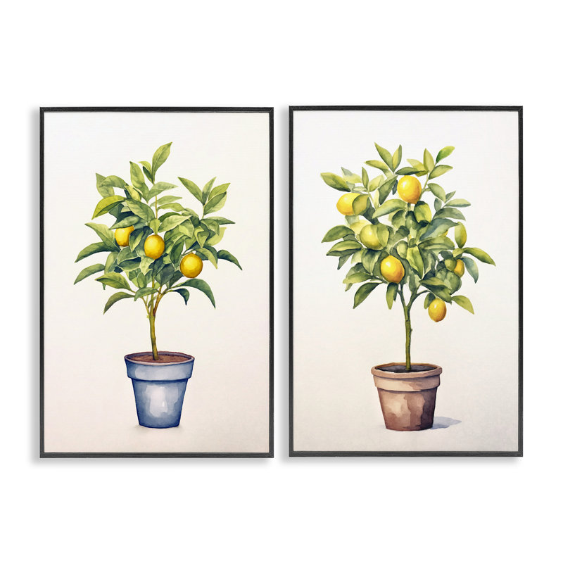 Ensemble de 2 giclées encadrées en pot Serenade Citrus, design par Andrea Haase, H 30 po x l 40 po