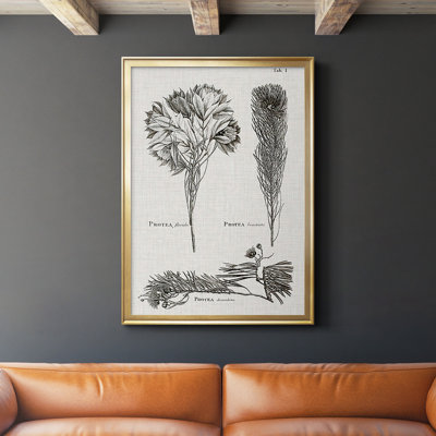 Protea on Linen I noir et blanc - impression d'un seul cadre photo