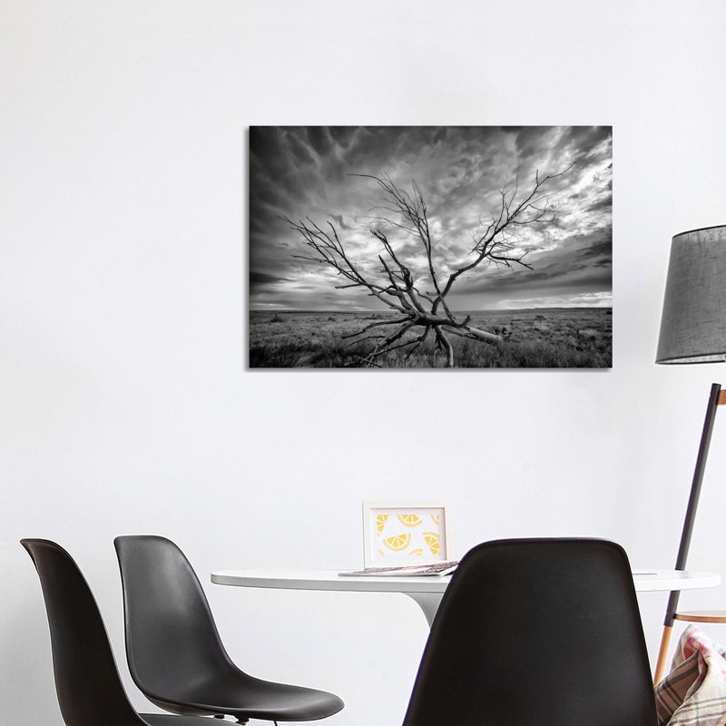 Colorado Storm by Dan Ballard - Wrapped Canvas Gallery-Wrapped Canvas Giclée, 101.6 cm H x 66.04 cm W x 1.91 cm D