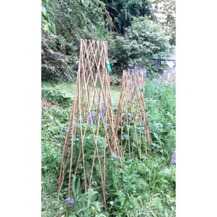 Wood Expanding Trellis