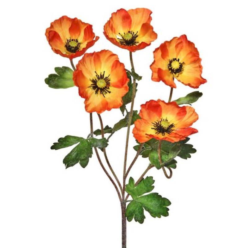 Buissons de coquelicots, Orange