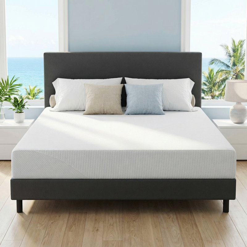 Matelas simple en mousse viscoélastique de qualité supérieure de 8 pouces - Luxe abordable avec anse lavable amovible