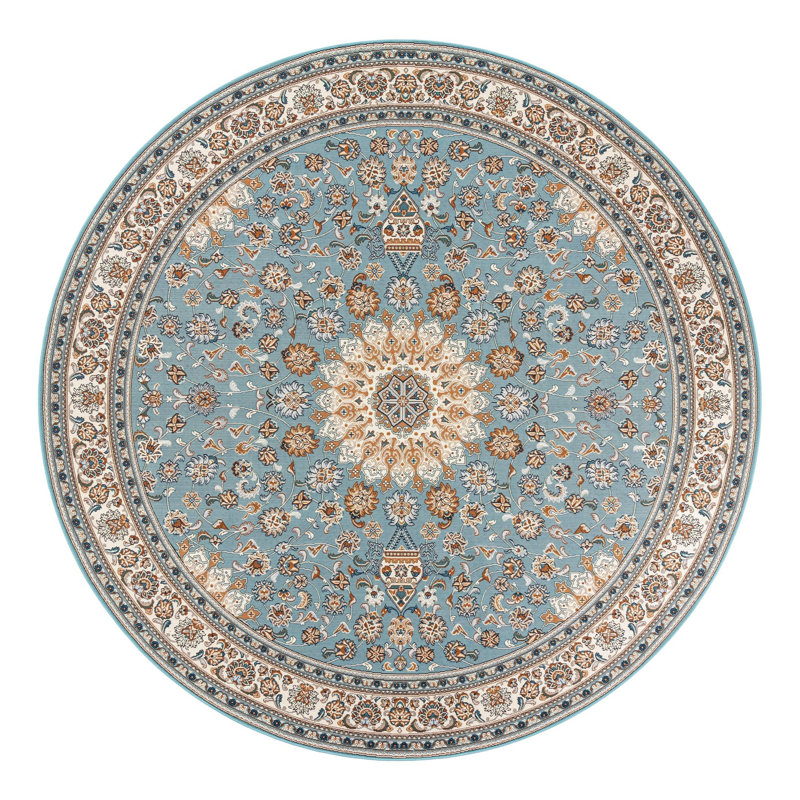 Indoor/Outdoor Traditional Area Rug, Round 10'