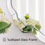 Miroir mural moderne Modern