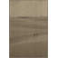 Sand Dunes 2 Painting by Thom Filicia