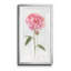 " Peony I " Painting Print-197839883-197839880