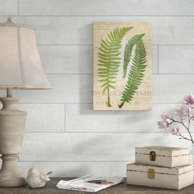 " Fern Folio III " by Vision Studio Painting Print