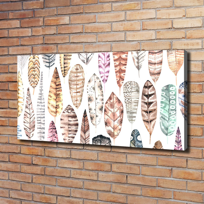Colourful Feathers - Wrapped Canvas Print
