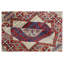 Aryana Hand Woven Wool Oriental Area Rug