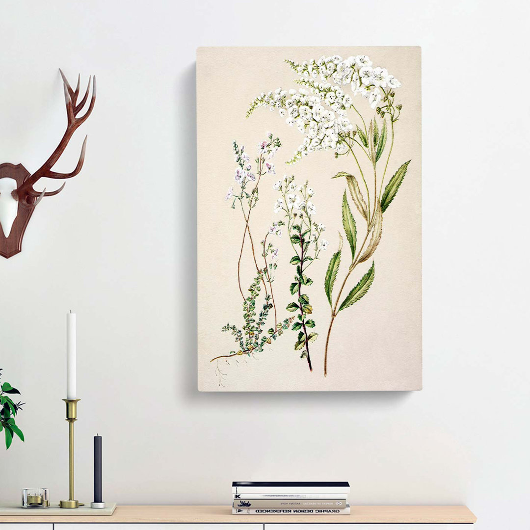 Veronica Flowers by Sarah Featon - Wrapped Canvas