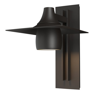 Hood Dark Sky Friendly Outdoor Armed Sconce